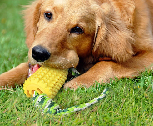 Dog Chew Toys for Puppies - Interactive Corn Toys for Clean Teeth, Aggressive Chewers, Medium Large Breed