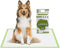 Pogi's XL Dog Training Pads with Adhesive Sticky Tabs, 20-Count, 24x35in, Plant-Based Puppy Pee Pads for Extra Large
