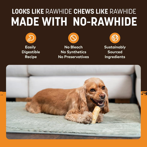 6 Count Earth Animal No Hide Chews - Long Lasting Rawhide Free Small Dog Chews Rolls, Chicken