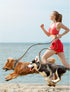 Mile High Life Double Dogs Rope Leash, Dog Slip Lead, 8FT Heavy Duty Metal Clasp, Mountain Climbing Rope with Leather