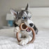 Ring Stuffer Durable Chew Toy for Aggressive Chewers, Real Beef, Made in USA, Large
