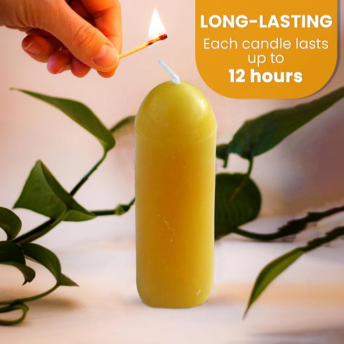 (3.5" 1.25") 12 BeeTheLight Beeswax Lantern Candles x - Smokeless Unscented Candle - Hours Burn Time Each - Natural