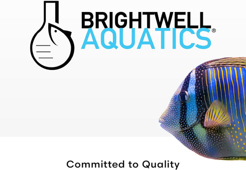 Brightwell Aquatics Replenish, Premium Trace & Minor Element Supplement for Marine Aquariums, 125 ml