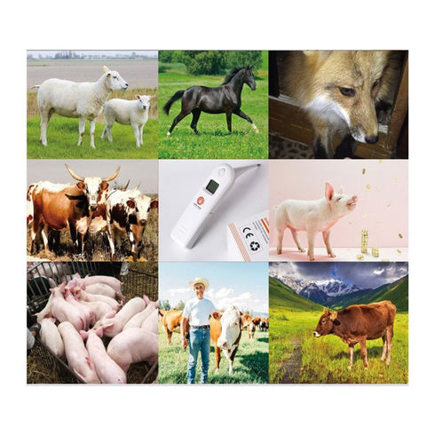 Animal Electronic Thermometer, Fast Rectal Thermometer for Dogs, Cats, Horses, Pigs, Sheep