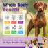 22 1 3 Immune 60 Dog Multivitamin Chewable - in Dog Vitamins and Supplements with Green Lipped Mussel & Omega