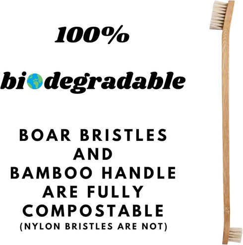 6-Pack Pet Toothbrush Bamboo & Boar Bristle | Natural, Biodegradable, Zero-Waste | for Dogs & Cats - Plastic-Free
