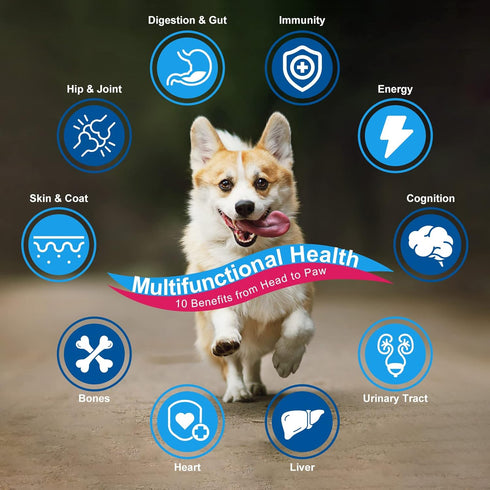 Dog Vitamins Powder, Probiotics & Digestive Enzymes for Gut Health, Complete Supplement for Joint & Skin Support