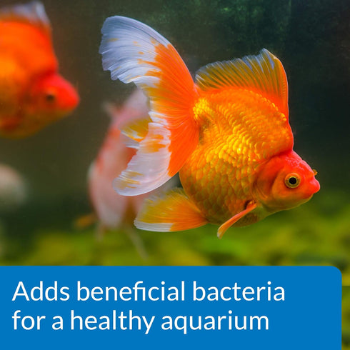 4-Ounce API GOLDFISH PROTECT Aquarium Water Conditioner Bottle