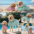 Bath/Beach/Swimming DENTRUN Dog Robes for After Bath - Super Absorbent & Fast Drying Coat with Hood, Bathrobe Beach