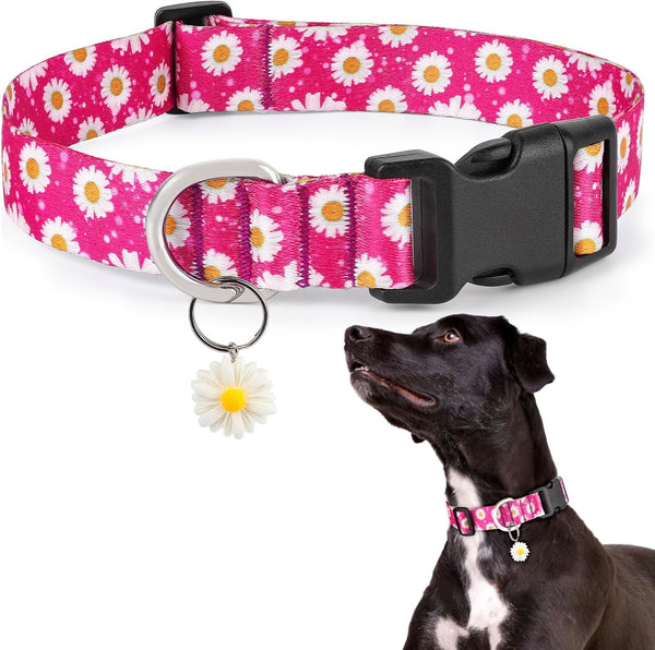 Dog Collar Ayaseen, Floral Girl Pink Dog Collars, Cute Adjustable Soft Flower Pet Collar with Daisies for Male Females