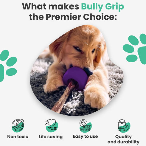 Medium Size Bully Stick Holder for Dogs - Interactive Dog Toy, Treat Dispenser, Slow Feeder, Chew Toy and Safety Device