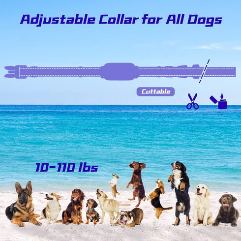 Dog Training Collar with 3300Ft Remote Range, Waterproof Electric Collar for Large Medium Small Dogs