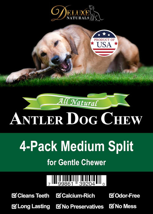 Elk Antler Dog Chews | Premium A-Grade Long-Lasting Chews from Naturally Shed Elk Antlers, Medium (Pack of 4)