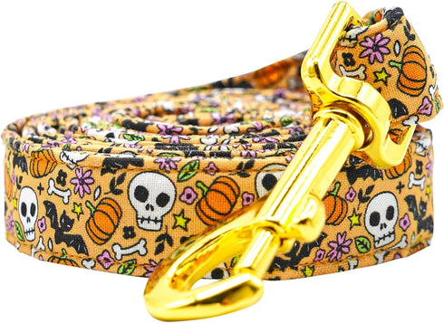 Lionheart Glory Pumpkin Dog Leash - Halloween Leash for Small Medium Large Dogs with Comfortable Soft Handle