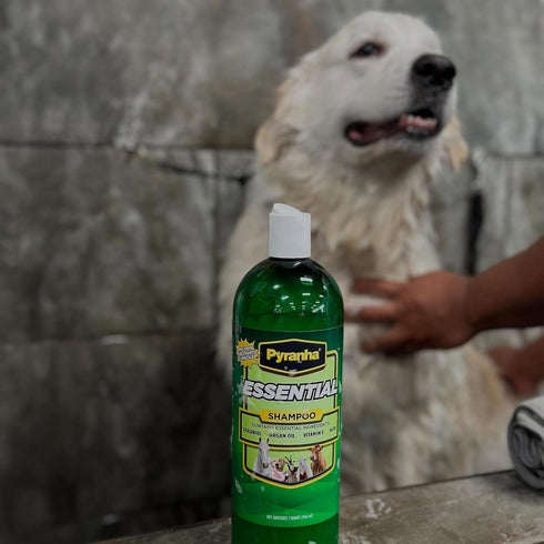 1 PYRANHA Essential Shampoo - Cleaning Refreshing Product for Horse, Dog, Cat & Show Animals with Coconut & Argan Oil