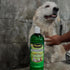 1 PYRANHA Essential Shampoo - Cleaning Refreshing Product for Horse, Dog, Cat & Show Animals with Coconut & Argan Oil