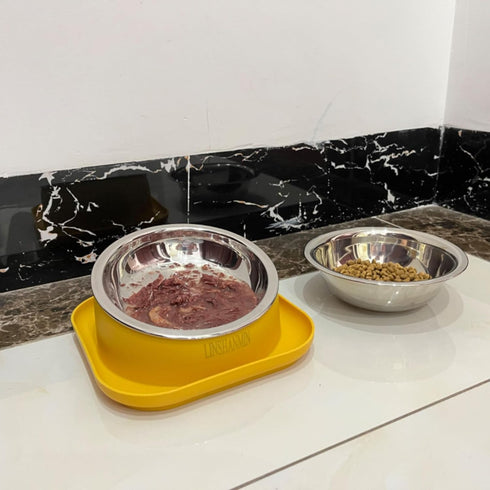 Tilted Cat Feeding Bowls, Whisker Friendly Raised Bowls for Indoor Cats, 3 in 1 Combined Design (Yellow)