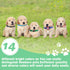 14 Pack Adjustable Puppy Collars - Breakaway Safety Whelping Collars for Small Puppies, Soft Nylon Identification