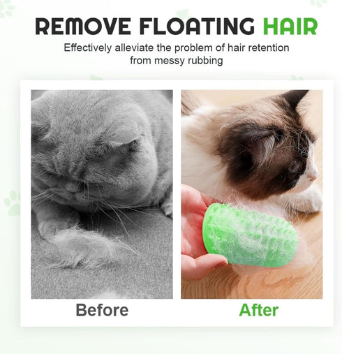 GHSGHS 2-in-1 6.29x4.72x0.39in (Black,1) Self Grooming Cat Brush Toy - Interactive Cat Groomer & Massage Brush