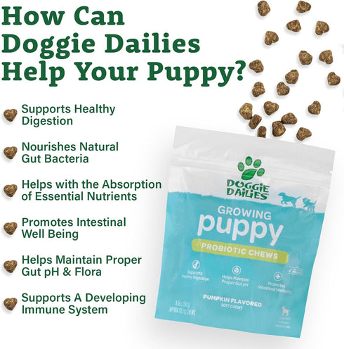 Doggie Dailies Puppy Probiotic | Probiotics for Puppies with Digestive Enzymes, Promotes Digestive Health, Supports Immune System & Overall Development | 120 Soft Chews