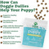 Doggie Dailies Puppy Probiotic | Probiotics for Puppies with Digestive Enzymes, Promotes Digestive Health, Supports Immune System & Overall Development | 120 Soft Chews