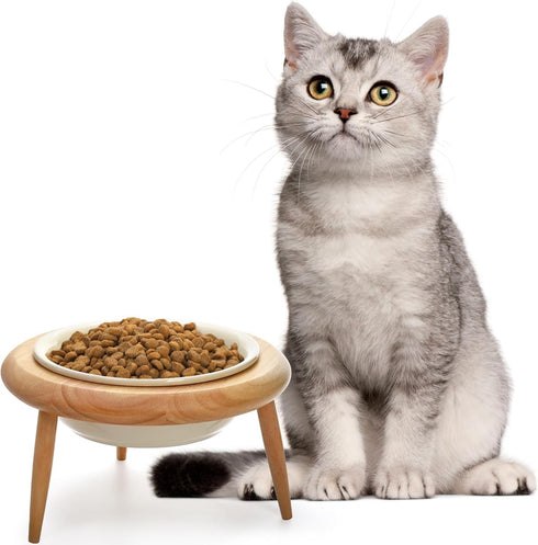 DEAYOU Ceramic Cat Bowl, Adjustable Tilted Elevated Pet Dish, No Spill Feeder with Wood Stand, 600 ML/20 OZ