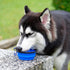 Portable Pet Travel Dog Bowls, 2 Pack Convenient Collapsible Bowls for Dogs and Cats with Carabiners