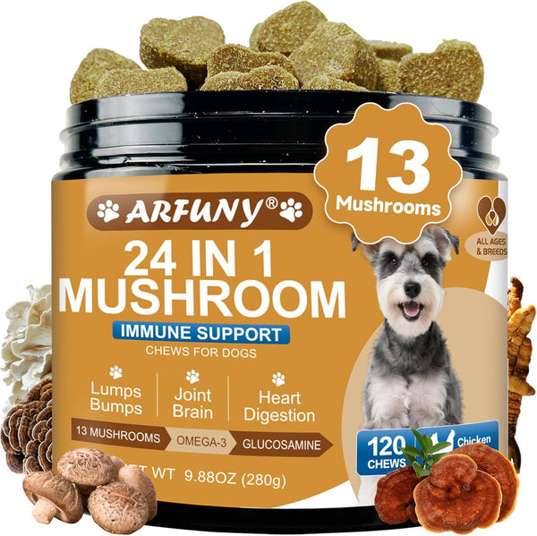 Mushrooms for Dogs - Turkey Tail Mushroom for Dogs - Gut, Skin,