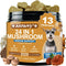 Mushrooms for Dogs - Turkey Tail Mushroom for Dogs - Gut, Skin,