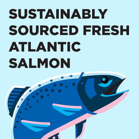 3lb Liberty Dry Food Salmon Recipe for Cats