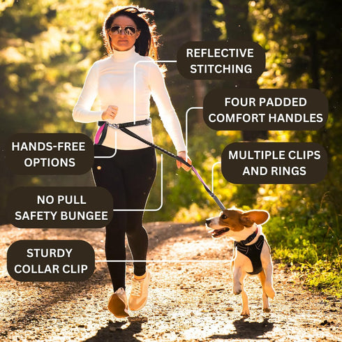 6 ft. Bungee Dog Leash - Heavy Duty with 4 Traffic Handles, Mighty Carabiner Clip, Ultra Reflective for Large Dogs