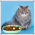 Tioncy 24 Pieces Whisker Fatigue Relief Cat Bowl, 5.7 inch Shallow Dish for Kittens and Small Pets (Wheat Straw)
