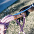 Ultra Reflective Premium Dog Slip Leash, Mountain Climbing Rope - Great for Training Strong Pullers, 6 Foot (Pink