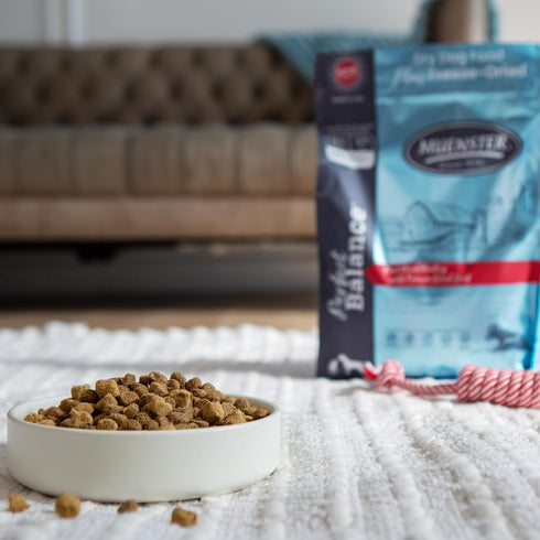 3.5 lb Muenster Perfect Balance Raw Pork Kibble Mix with Freeze Dried Beef for Dogs - High Protein, No Corn, Wheat