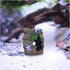 WishLotus Aquarium Fish Tank Decorations, Plastic Plants Fish Cave Castle Ornaments for Tank Décor