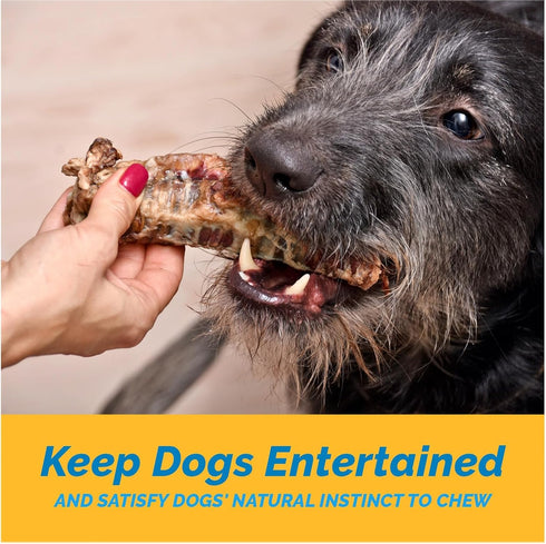 6" Trachea for Dogs | 10 Pack | 100% Natural Beef