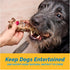 6" Trachea for Dogs | 10 Pack | 100% Natural Beef