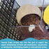 4 Pcs DIY Hermit Crab Climbing Toys | Hermit Crabs Climbing Wall & Platform with Ladder | Hermit Crab Tank Accessories
