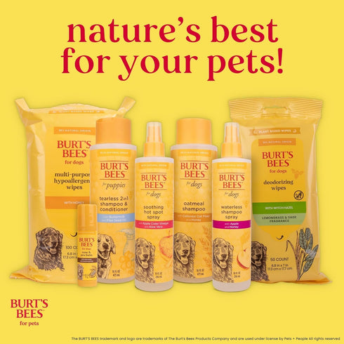 4 Oz BURT'S BEES FOR PETS Dog Paw and Nose Lotion with Rosemary and Olive Oil, Moisturizing Paw Balm for Dry Cracked