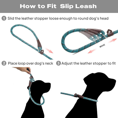 TwoEar Dog Leash Slip Lead - 1/2" x 6FT Reflective Durable Training Leash for Medium & Large Dogs, Blue