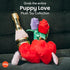 (3 Set) P.L.A.Y. Cute Plush Dog Toys - Puppy Love Valentine's Day Themed Durable Squeaker Chew Toys, Great for Puppies
