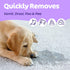Sunny & Honey Pet Stain & Odor Miracle - Enzyme Cleaner for Dog Urine Cat Pee Feces, Enzymatic Solution for Carpet, Rug, Car upholstery, Couch, Mattress, stain Eliminator (Light Lavender, 32 FL OZ)