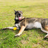 Hound2O Dog Chew Toys, Squeaky Fetch Ball, Yellow, Tough Interactive Chew Toys for All Breeds