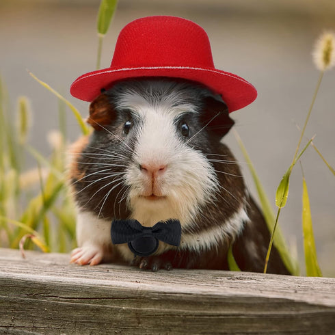 8 Pieces Guinea Pig Clothes, 4 Sets Bow Ties, Pet Hats, Kawaii Black Hat Outfit for Hamster, Ferret, Cat, Puppy