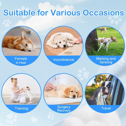 Jaoruizer 90 Count 11-16.5 inch Dog Diapers Male, Disposable Small Male Dog Wraps Super Absorbent Puppy Doggie Diapers