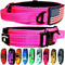 2-Inch Wide Tactical Dog Collar with Control Handle, Adjustable for Medium & Large Dogs, Military Style, USA Flag Patch