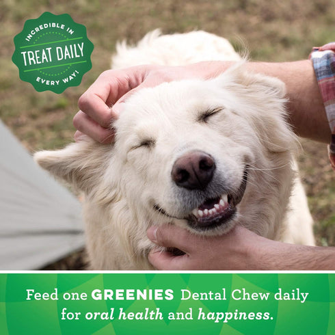 Greenies Original Regular Natural Dog Dental Care Chews, 36 count (Pack of 1)