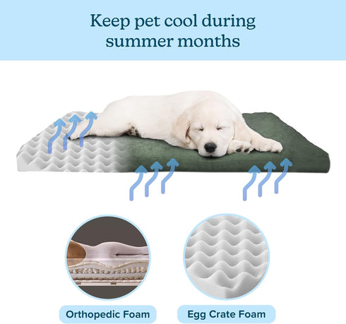 Petmaker Water-Resistant Orthopedic Dog Bed, Removable Washable Cover, Non-Slip Bottom, 44in Large Pet Bed, Green