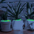 300PC Glowing Rocks for Aquarium Decoration, Glow in The Dark Pebbles