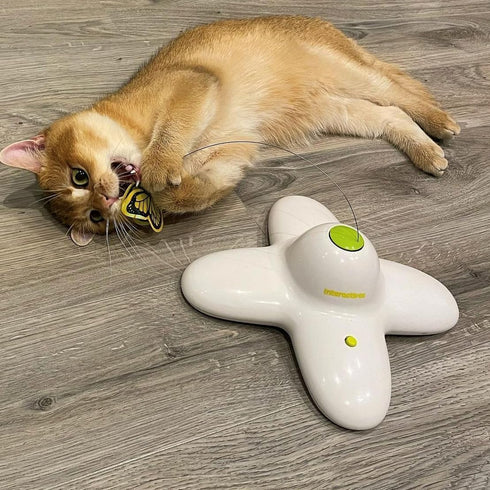 ALL FOR PAWS Cat Toys Interactive Butterfly Flutter Bug Cat Automatic Toy Stimulating Kitty Toys Enrichment for Indoor